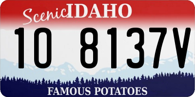 ID license plate 1O8137V
