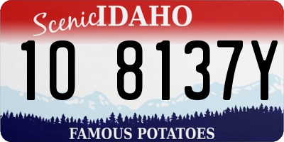 ID license plate 1O8137Y