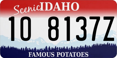 ID license plate 1O8137Z