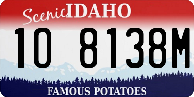 ID license plate 1O8138M