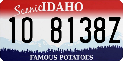 ID license plate 1O8138Z