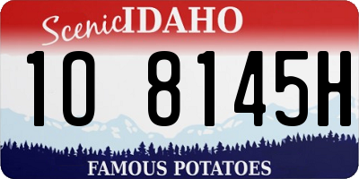 ID license plate 1O8145H