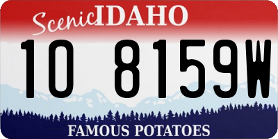 ID license plate 1O8159W
