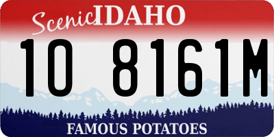 ID license plate 1O8161M
