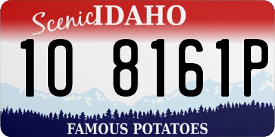 ID license plate 1O8161P