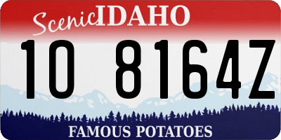 ID license plate 1O8164Z