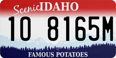 ID license plate 1O8165M