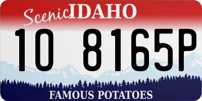ID license plate 1O8165P