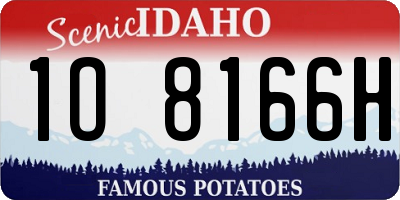ID license plate 1O8166H