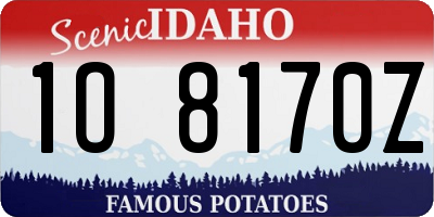 ID license plate 1O8170Z