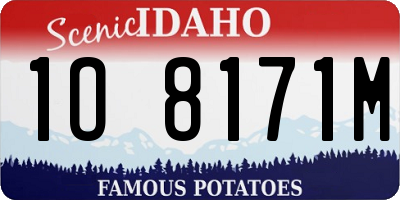 ID license plate 1O8171M