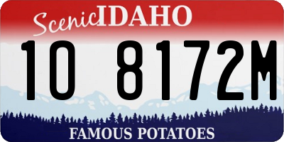 ID license plate 1O8172M