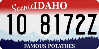 ID license plate 1O8172Z