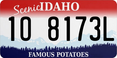 ID license plate 1O8173L