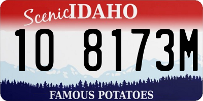 ID license plate 1O8173M