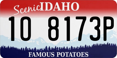ID license plate 1O8173P