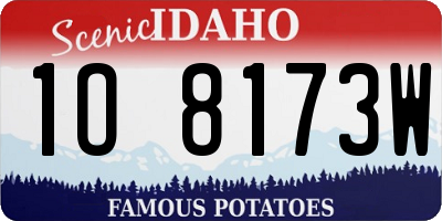 ID license plate 1O8173W