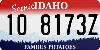 ID license plate 1O8173Z