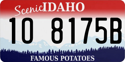 ID license plate 1O8175B