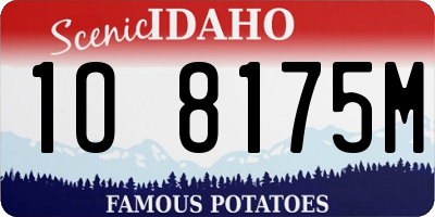 ID license plate 1O8175M