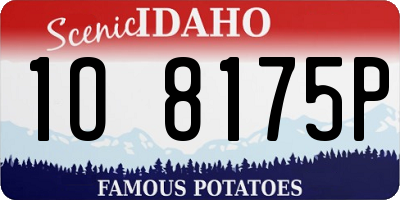 ID license plate 1O8175P