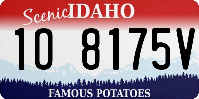 ID license plate 1O8175V