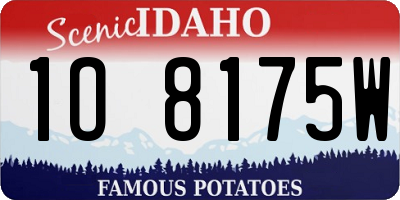 ID license plate 1O8175W