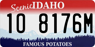 ID license plate 1O8176M