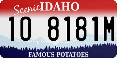 ID license plate 1O8181M