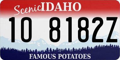 ID license plate 1O8182Z