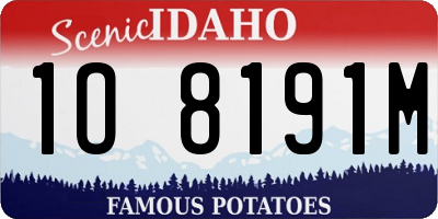 ID license plate 1O8191M