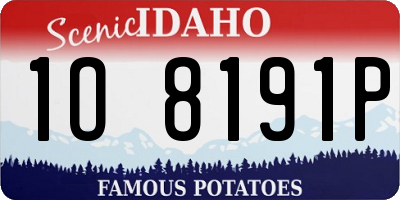 ID license plate 1O8191P
