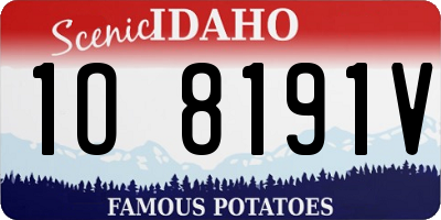 ID license plate 1O8191V