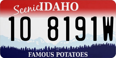 ID license plate 1O8191W