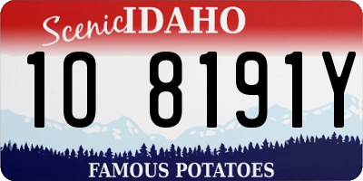 ID license plate 1O8191Y