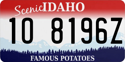 ID license plate 1O8196Z