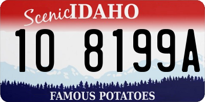 ID license plate 1O8199A