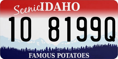 ID license plate 1O8199Q