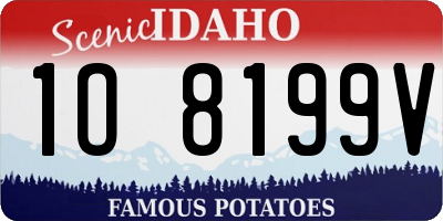 ID license plate 1O8199V