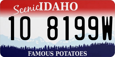 ID license plate 1O8199W