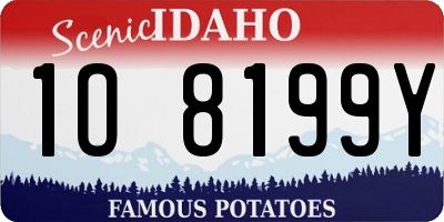 ID license plate 1O8199Y