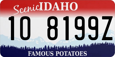 ID license plate 1O8199Z