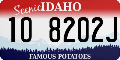 ID license plate 1O8202J