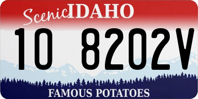 ID license plate 1O8202V