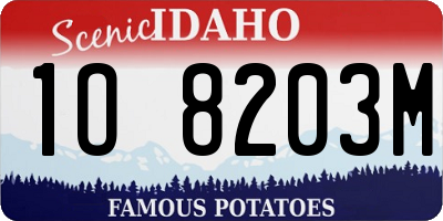 ID license plate 1O8203M