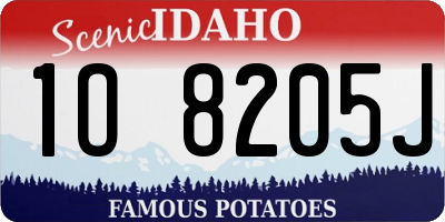 ID license plate 1O8205J