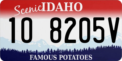 ID license plate 1O8205V
