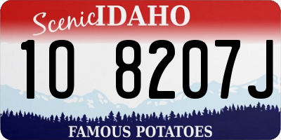 ID license plate 1O8207J