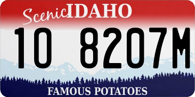 ID license plate 1O8207M