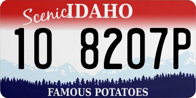 ID license plate 1O8207P